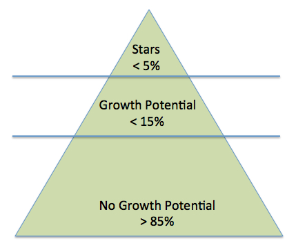 Fig. 2: Partner Pyramid