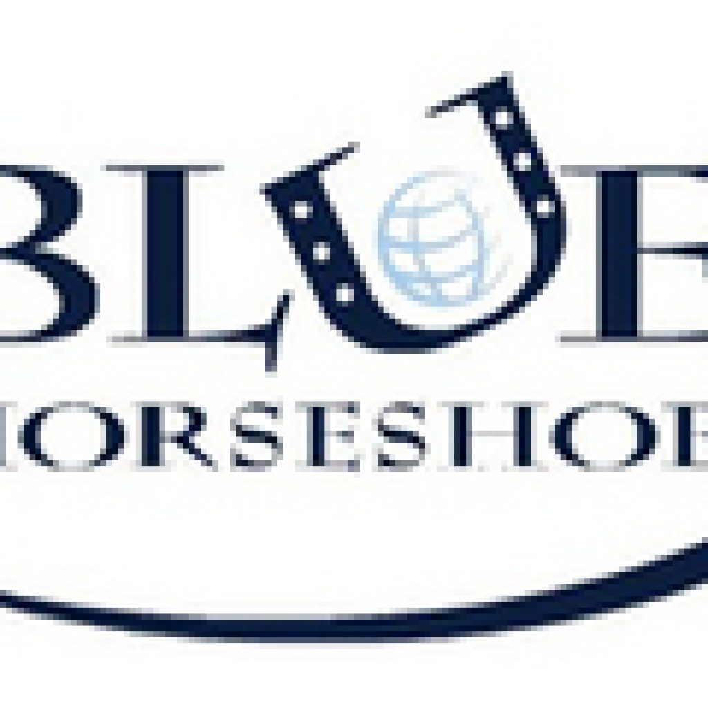 blue-horseshoe-loves-anacott-steel